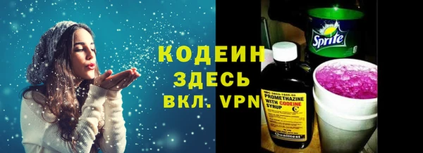 дмт Арсеньев