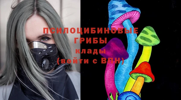 дмт Арсеньев