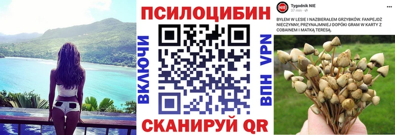 Псилоцибиновые грибы GOLDEN TEACHER  Ельня 