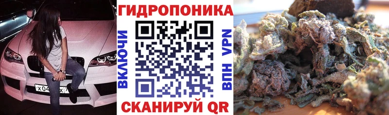 Каннабис семена  МЕГА вход  Ельня 